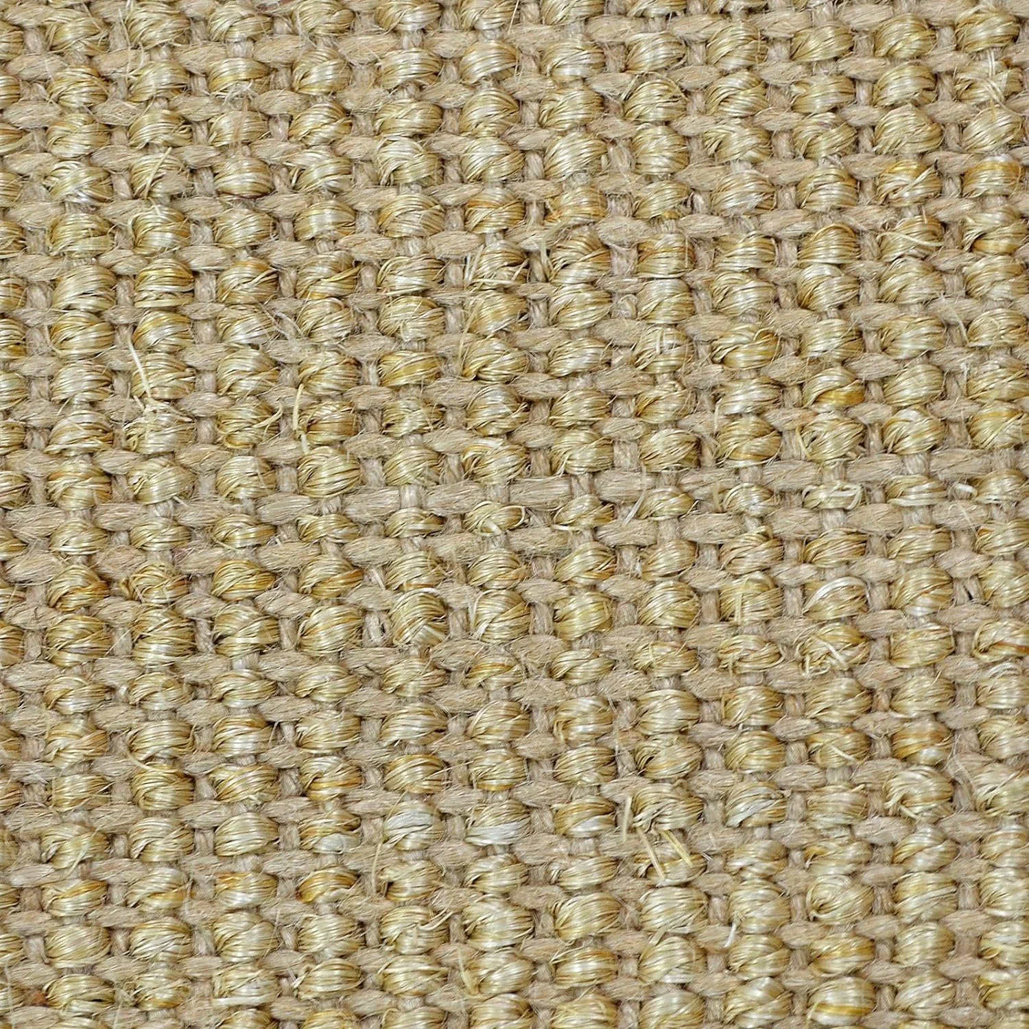 Sisalteppich „Amazonas“ – Naturteppich mit farbiger Bordüre, 6 mm hoch